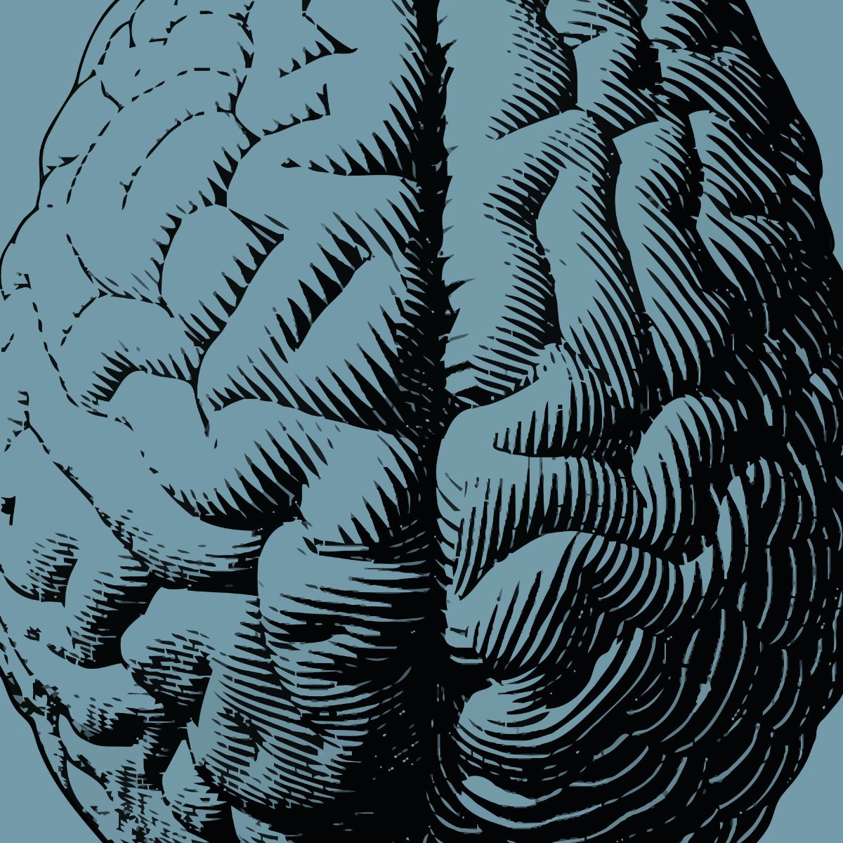 Competence IP Law (Brain)